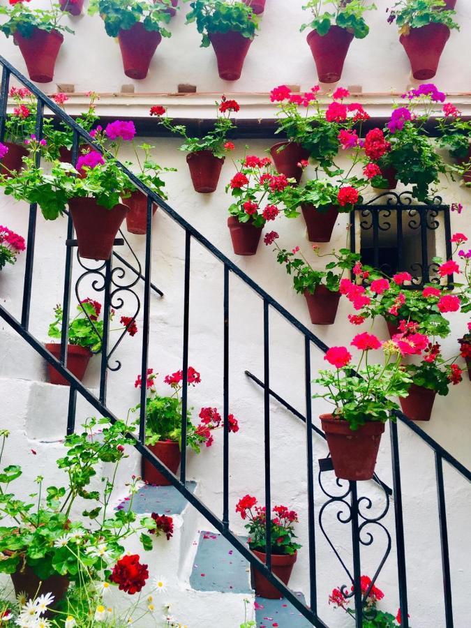 Ribera del Quivir Córdoba Exterior foto
